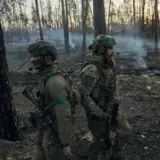 Бійці Азова вибили росіян із Серебрянського лісу на Луганщині