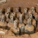 У підвалі будинку Джорджа Вашингтона знайшли фрукти 250-річної давності