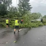Сильна злива повалила близько 100 дерев у Львові