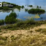 У Києві хотіли облаштувати озеро за 79 мільйонів
