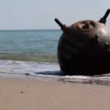 Страны НАТО начали разминировать Черное море