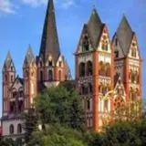 Часть голубей из немецкого Лимбурга отвезут в приют в Баварию