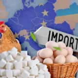ЕС ввел пошлины на украинские продукты