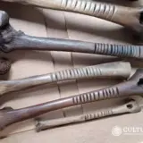 Тепари найдена в Мексике — фото