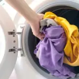 Постельные клопы – как не заразиться паразитами