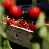 Россия присвоила украинский географический бренд Мелитоопольская черешня