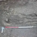 Англосаксонское кладбище найдено в Малмсбери