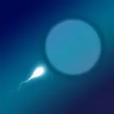 Ожирение — как влияет на возможность иметь детей