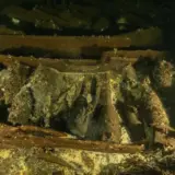 На затонулому судні в Балтійському морі виявлено величезну кількість шампанського
