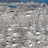 Кринки практично повністю знищені