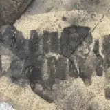 Славянское поселение найдено в Германии
