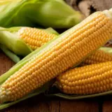 Кукурузная мука — чем полезна для здоровья