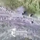 Бои в Курской области — более ста российских солдат добровольно сложили оружие