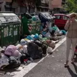 У Римі чудово почуваються змії, щури та східні шершні