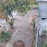 Чоловік вчинив стрілянину на Одещині