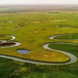Одна из крупнейших рек Африки оказалась заражена радиацией