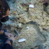 Кинжал возрастом около 3600 лет найден в Анталье — фото