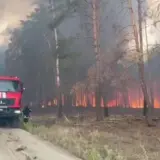 Масштабна лісова пожежа вирує в Донецькій області