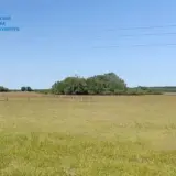 Банкир продал земли НБУ по заниженной цене