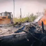 Масштабна пожежа вирує у Чорнобильській зоні