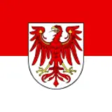 Новый опрос дает “Альтернативе для Германии” первое место на выборах в Бранденбурге