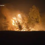 Масштабна пожежа вирує на Донбасі