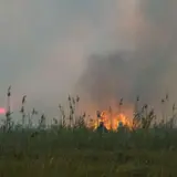 Масштабна пожежа вирує на Полтавщині
