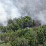 На Полтавщине продолжает бушевать масштабный пожар