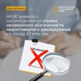 Денисову обвиняют в незаконном обогащении