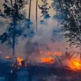 Качество воздуха ухудшилось в Киеве