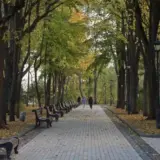 З 2 жовтня у Києві відчутно похолодає – синоптик Діденко