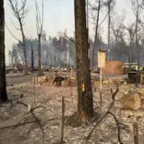 Пожежа в Харківській області – лісова пожежа знищила селище Піски-Радьківські