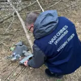 Обстрел Харькова — количество пострадавших продолжает расти