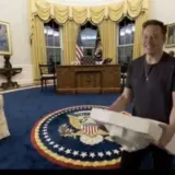 Ілон Маск уже зібрався увійти зі своєю раковиною до Білого дому.