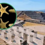 Морські зірки, знайдені у церемоніальних підношеннях у Тулі