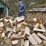 Шмыгаль прокомментировал скандальный закон о дровах