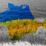 США не будут способствовать возвращению Украине Крыма – советник Трампа Брайан Ланза