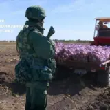 На Херсонщине оккупанты отбирают у фермеров собранный урожай