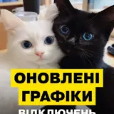 Отключение света в Украине – в Киеве, Киевской и Днепропетровской областях адаптировали графики отключения света