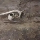 Неолітичну гробницю знайдено у Франції