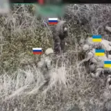 Расстрел украинских пленных – оккупанты расстреляли украинских военнопленных в Запорожской области