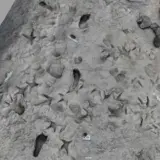 Скам’янілі сліди віком 1,5 мільйона років знайдені в Кенії