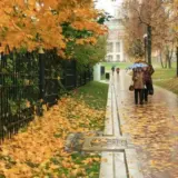 Погода в Киеве – температура в ноябре была выше климатической нормы