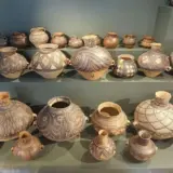 Рисовое пиво возрастом 10000 лет найдено в Китае