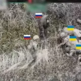 Расстрел украинских пленных – в 2024 году количество случаев расстрелов украинских бойцов россиянами почти вдвое больше
