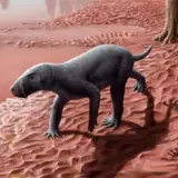 Древнейший саблезубый хищник найден на Майорке