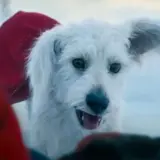 Вышел трейлер нового фильма о Супермене