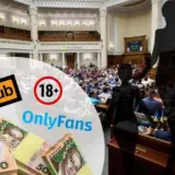 Декриміналізація порно – комітет Ради підтримав за основу законопроект №12191 про декриміналізацію порно