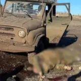 Силы обороны ликвидировали российских офицеров в Запорожской области