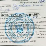 Повернення українців – українців за кордоном хочуть залучити в оборонку бронею від мобілізації